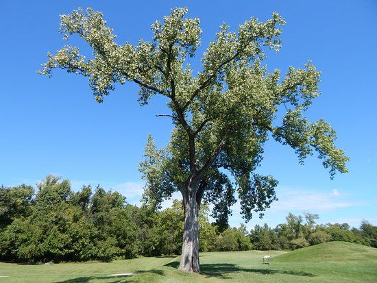 Hopewell Culture National Historical Park